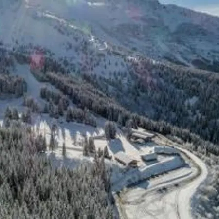 Appartement Proche Pistes Avec Animaux Admis - Fr-1-771-21