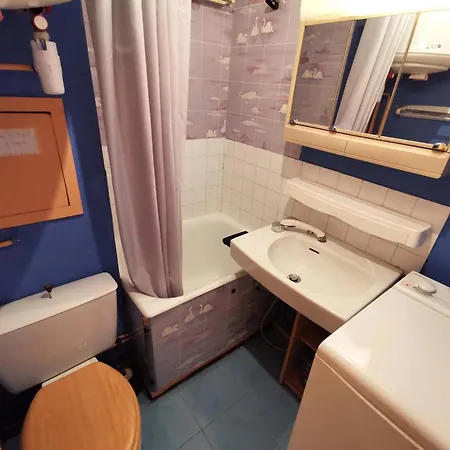 Appartement Proche Pistes Avec Animaux Admis - Fr-1-771-21 *
